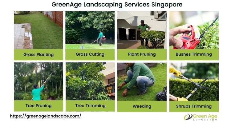 GreenAge Landscaping Services Singapore 3 greenage-landscaping-services-singapore-2-savvyhome-singapore