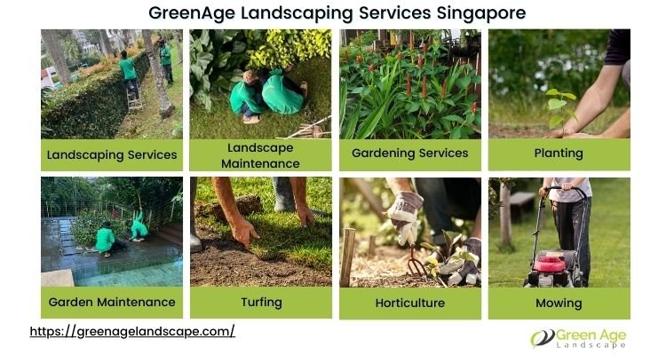 GreenAge Landscaping Services Singapore 2 greenage-landscaping-services-singapore-savvyhome-singapore
