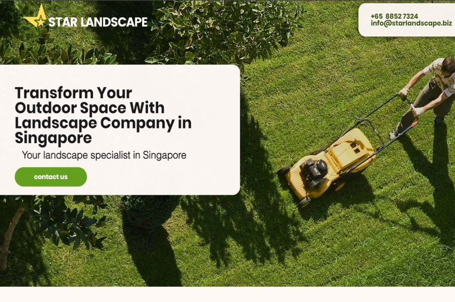 star-landscape-and-carpentry-singapore-10-best-landscaping-services-in-singapore-savvyhome-co-singapore